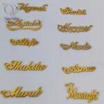 گردنبند اسم پسرانه استیل طلایی لاتین - Image 2