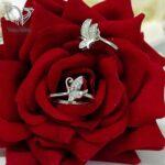 انگشتر نقره دخترانه ظریف و مینیمال طرح سنجاقک کد 5326